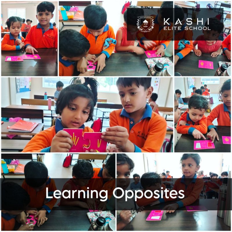 Learning Opposites Activity for kids in Kashi Elite School, Khandwa