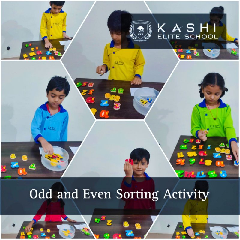 Odd Even Sorting Activity for kids in Kashi Elite School, Khandwa